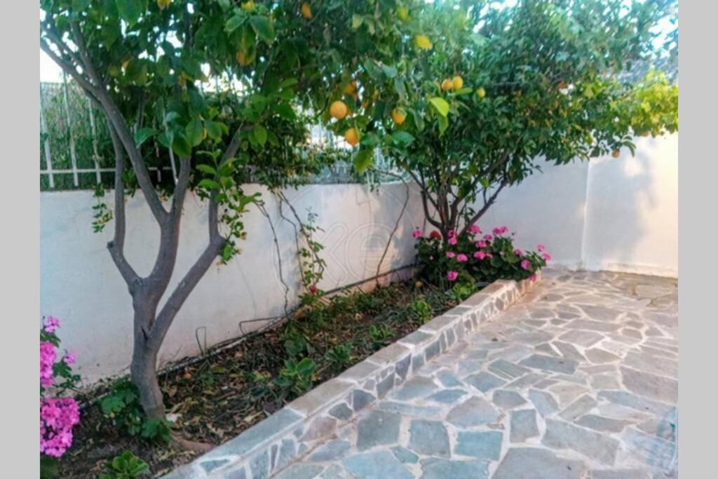 Lagonisi Magic Home Relaxation Kalivia Thorikou المظهر الخارجي الصورة